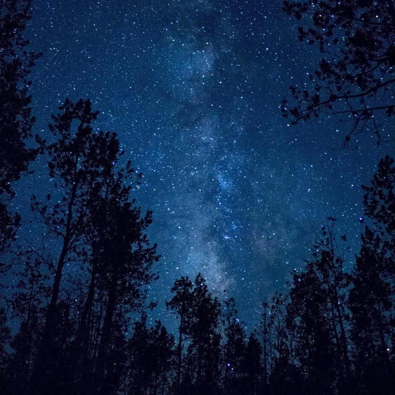 The Milky Way @ Pine Resort Fraser Hill Buitenkant foto